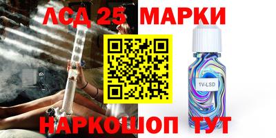 стафф Дубна
