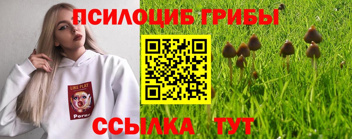 Галлюциногенные грибы ЛСД Лосино-Петровский
