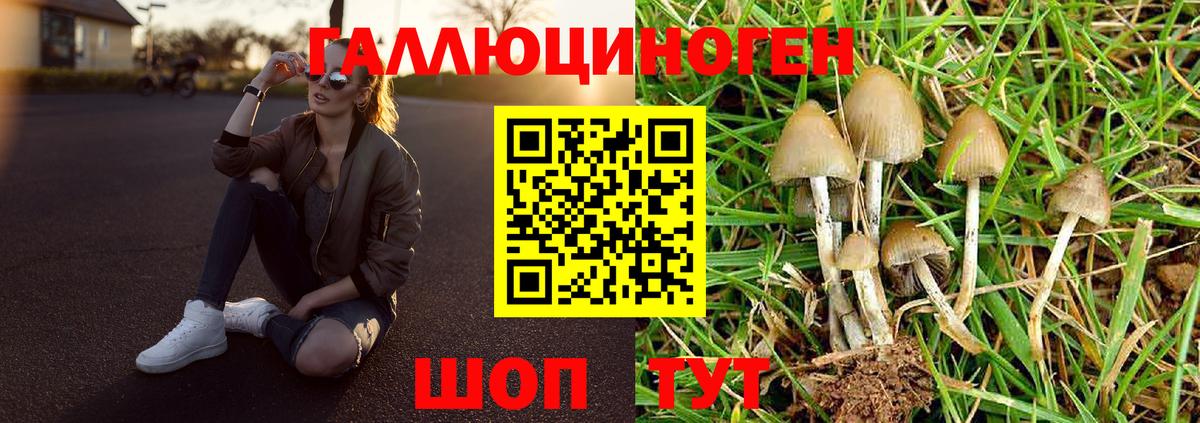 Каннабис  Гашиш  Вход с VPN  Лосино-Петровский  Где купить  Меф МЯУ МЯУ кристаллы 